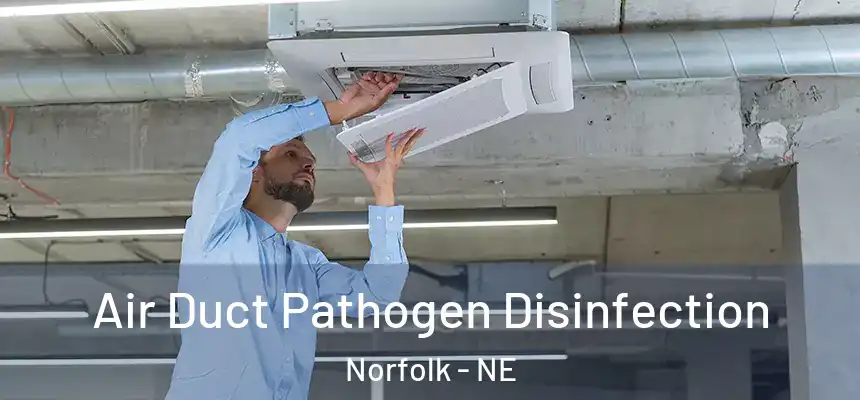  Air Duct Pathogen Disinfection Norfolk - NE