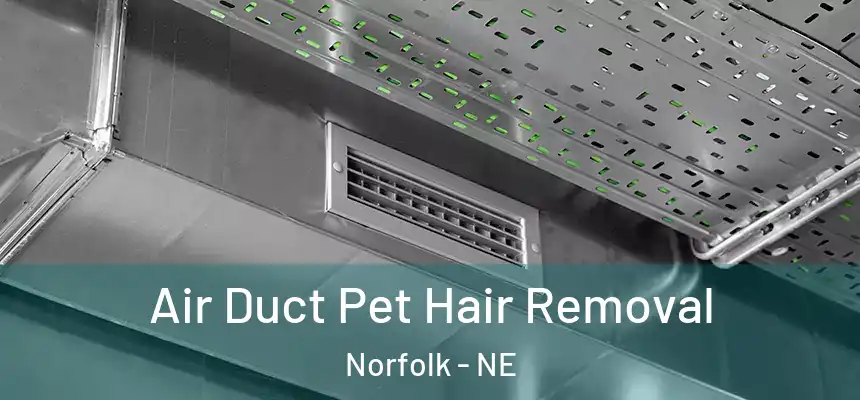  Air Duct Pet Hair Removal Norfolk - NE
