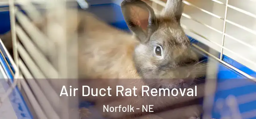  Air Duct Rat Removal Norfolk - NE