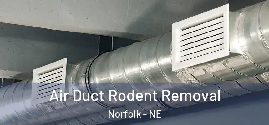  Air Duct Rodent Removal Norfolk - NE