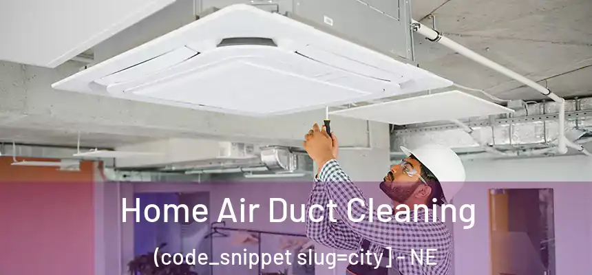  Home Air Duct Cleaning (code_snippet slug=city] - NE