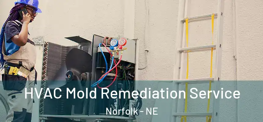  HVAC Mold Remediation Service Norfolk - NE