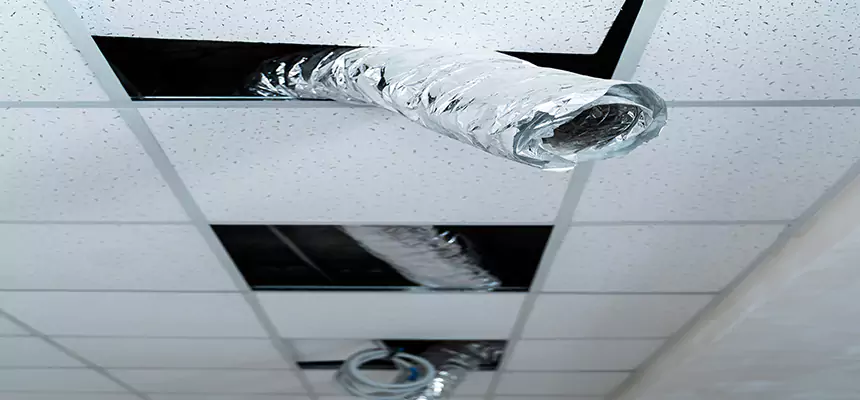 Our Air Duct Pet Hair Removal Services in Norfolk, NE