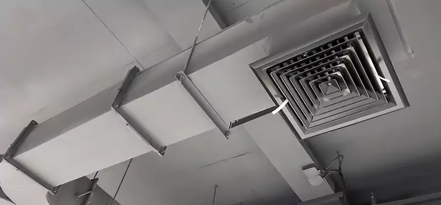 Restorative Allergy Relief Vent Cleaning – Coil, Blower & Housing Detail in Norfolk