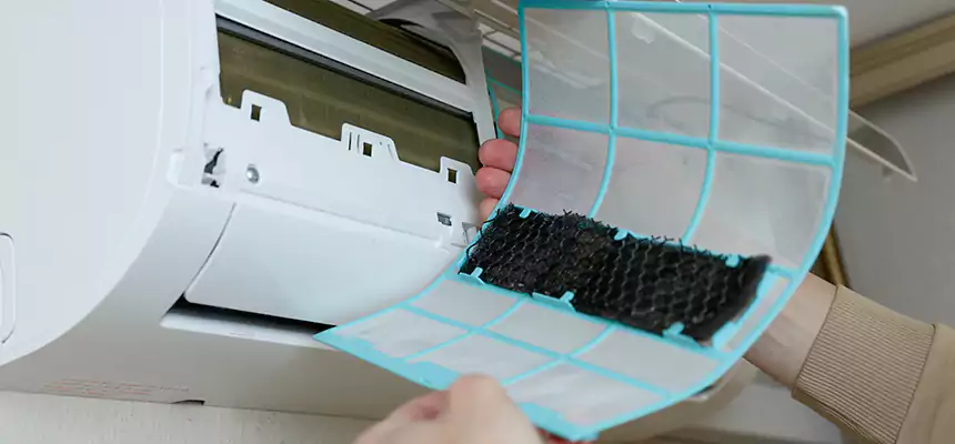 Gentle Ductwork Odor-Control Pet Dander Duct Cleaning in Norfolk, NE