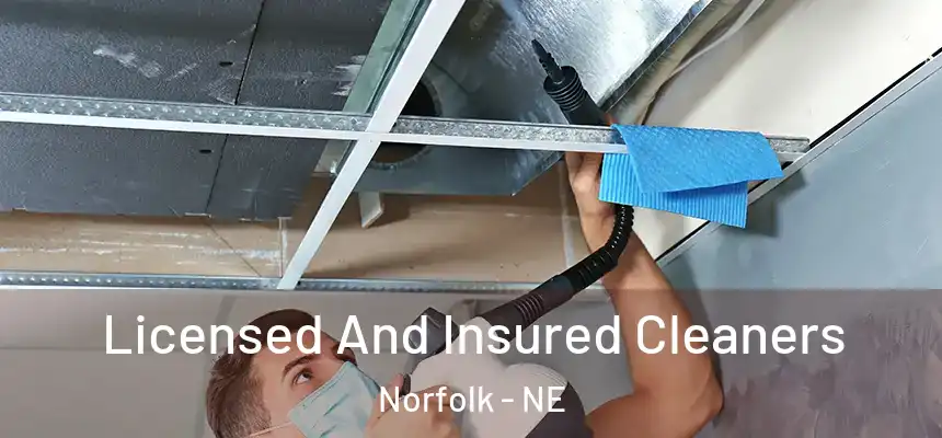  Licensed And Insured Cleaners Norfolk - NE