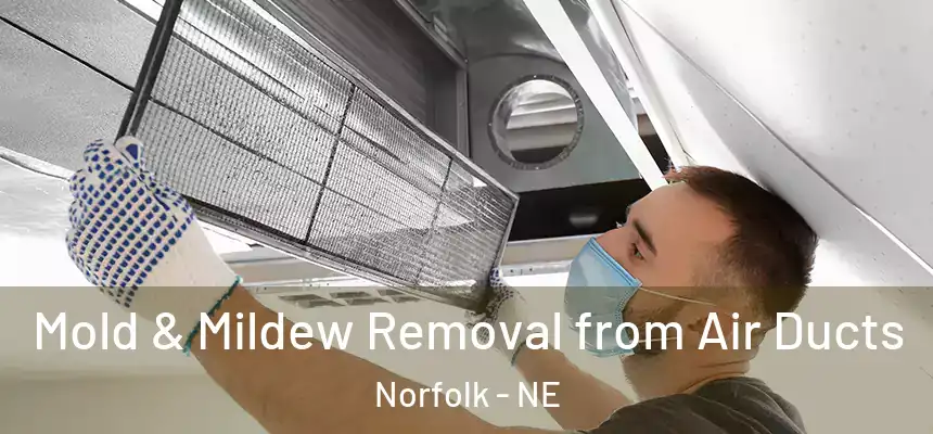  Mold & Mildew Removal from Air Ducts Norfolk - NE