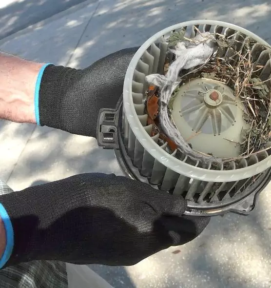 About Air Duct Mice Removal in Norfolk, NE