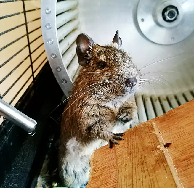 Why Homeowners & Businesses Trust Us Norfolk, NE