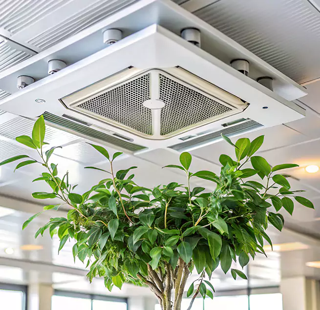 Why Homeowners & Businesses Trust Us in Norfolk, NE?