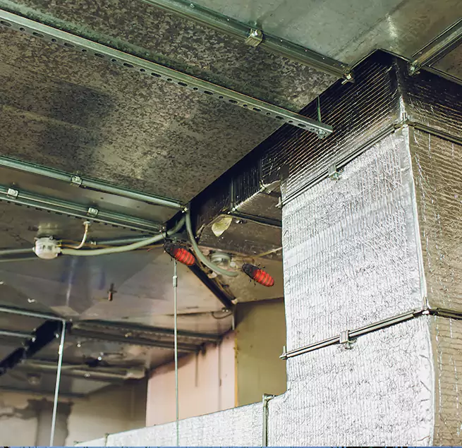 Why Homeowners & Businesses Trust Us Norfolk, NE?